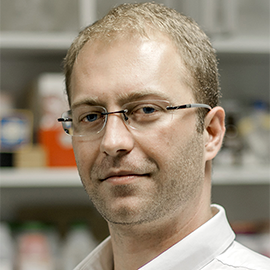 15_12_25_INCT_PerfilMembros__0000_Jones-Bernardes-Graceli